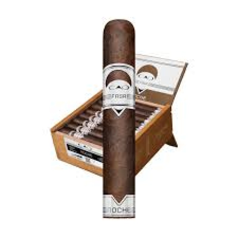 CASA  FASA NOCHE GIGANTE 24 CT BOX
