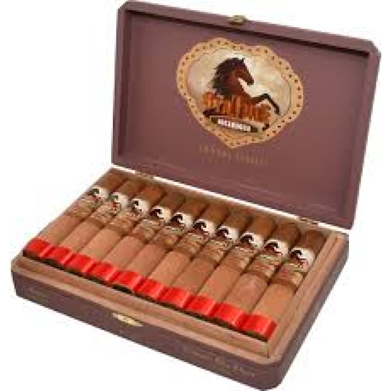 CASTANO SAN ANDRES ROBUSTO 20 CT BOX