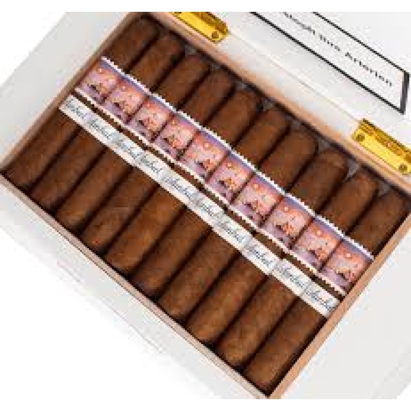 DALAY ISTANBUL 4.5X46 PRICIPE  10 CT BOX