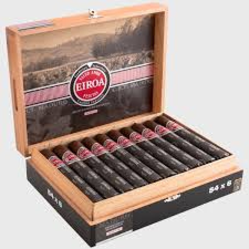 EIROA C.B.T MADURO 40X4 20 CT BOX