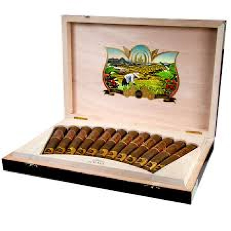 OLIVA 135TH ANNIVERSARIO 12 CT BOX